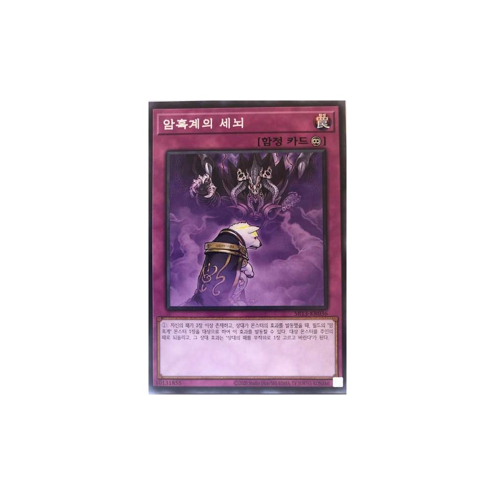 Dark World Brainwashing - SR13-KR036
