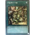 Secret Village of the Spellcasters - SSB1-KR036