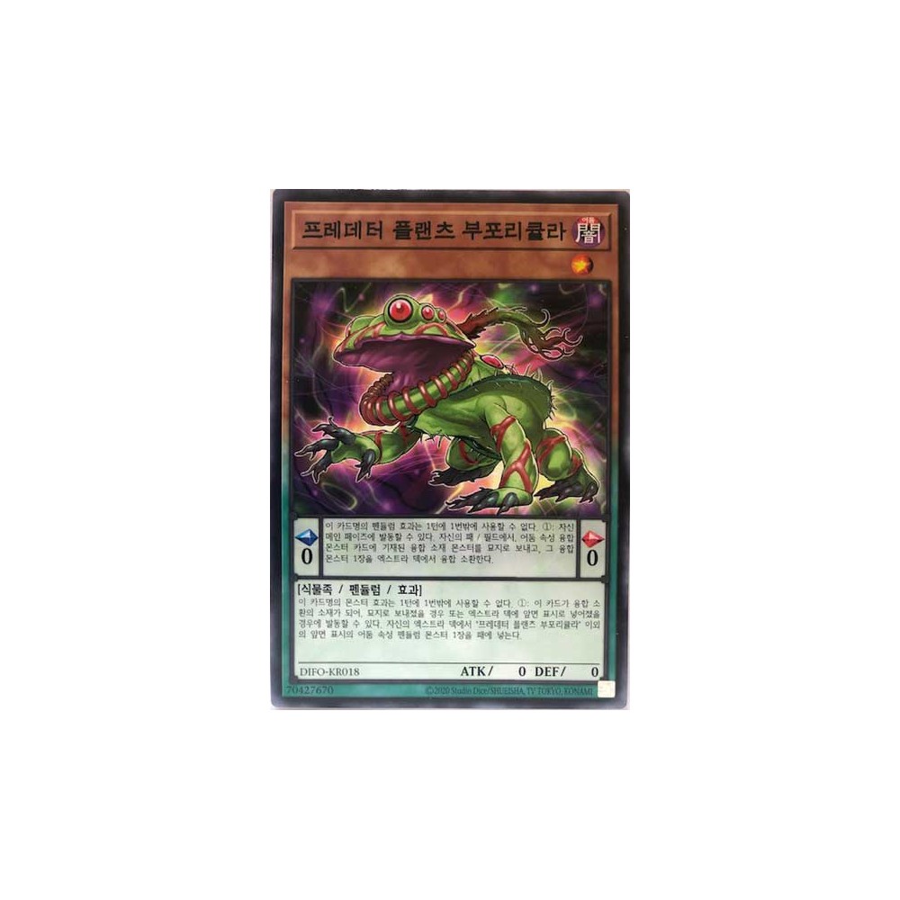Predaplant Bufolicula - DIFO-KR018