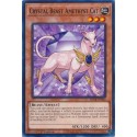 Crystal Beast Amethyst Cat - SDCB-EN002