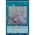 Crystal Bond - SDCB-EN046