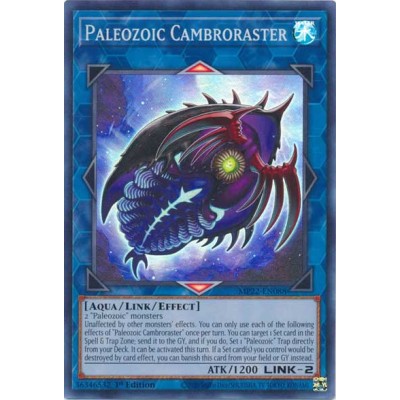Paleozoic Cambroraster - MP22-EN088