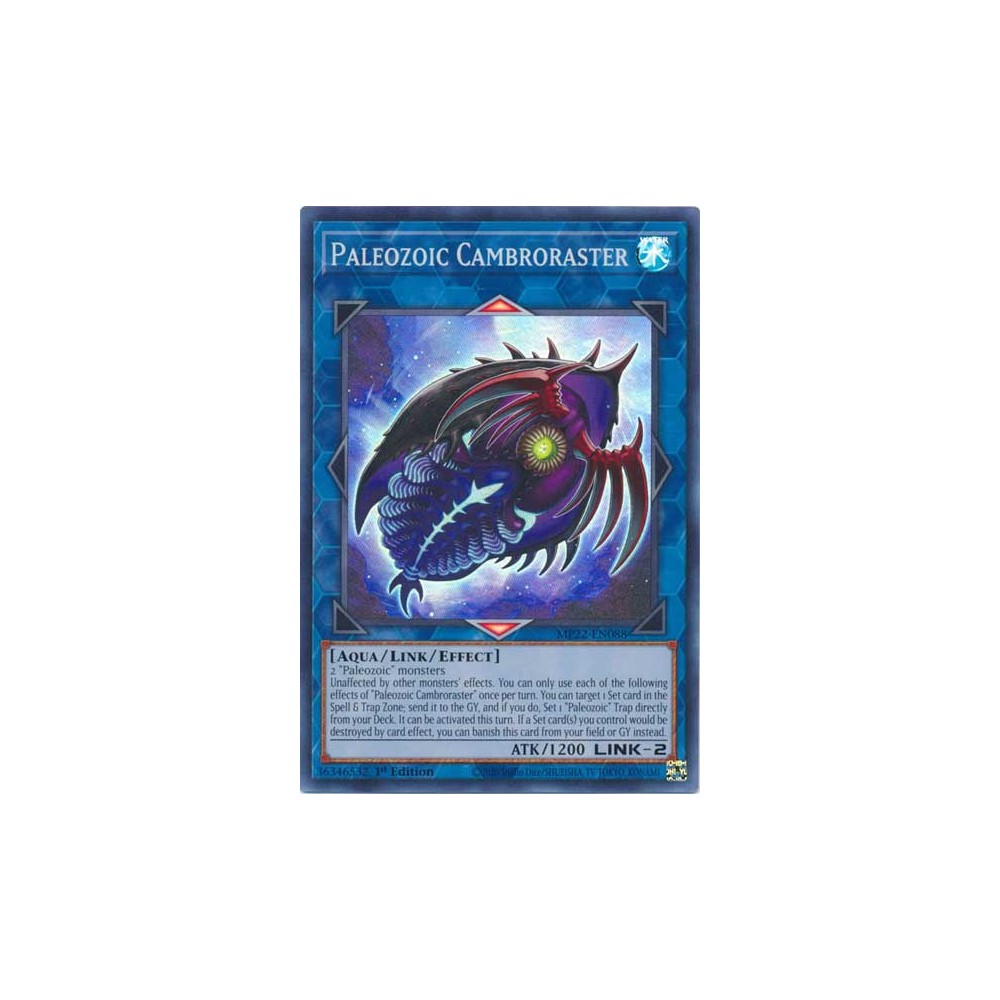 Paleozoic Cambroraster - MP22-EN088