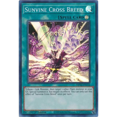 Sunvine Cross Breed - MP22-EN116