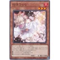 Ash Blossom & Joyous Spring - SD44-JP014