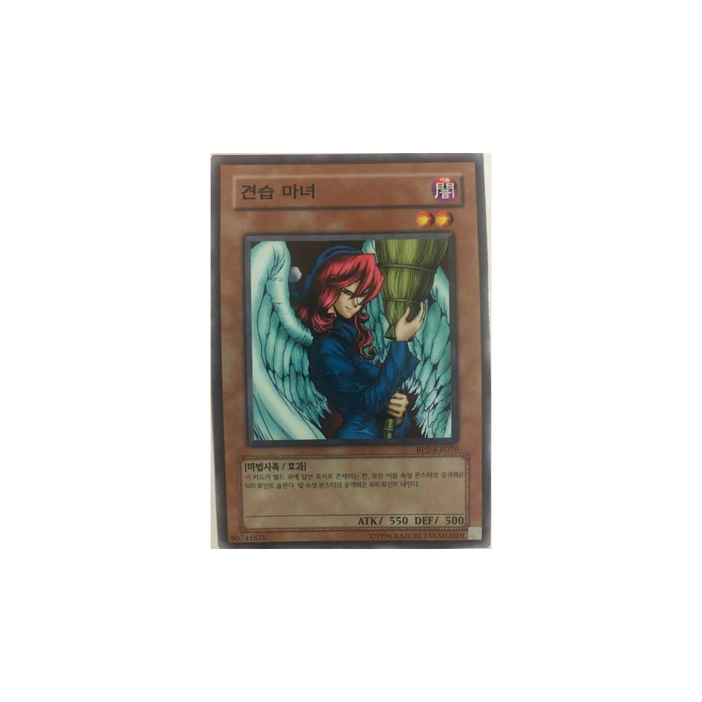 Witch's Apprentice - BP2-KR070