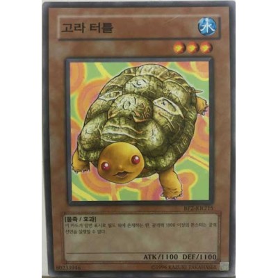 Gora Turtle - BP2-KR215