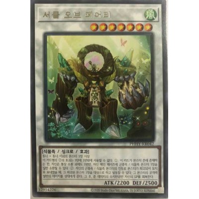 Circle of the Fairies - PHHY-JP042