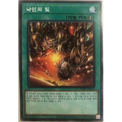 Light of the Branded - PHHY-JP056