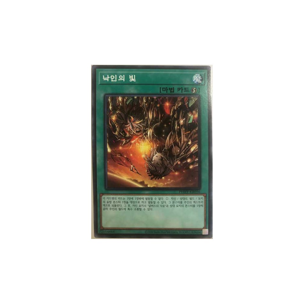 Light of the Branded - PHHY-JP056