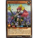 Iris the Rare Shadow Flower - RD/KP11-KR018