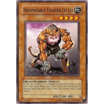 Indomitable Fighter Lei Lei - CRV-EN023