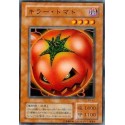 Mystic Tomato - PS-43