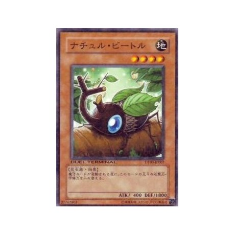 Naturia Beetle - DT03-JP007