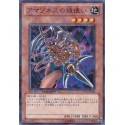 Amazoness Chain Master - DT13-JP004