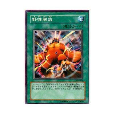 copy of Chopman the Desperate Outlaw - 306-010 - Usada