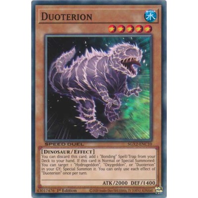 Duoterion - SGX2-ENC10