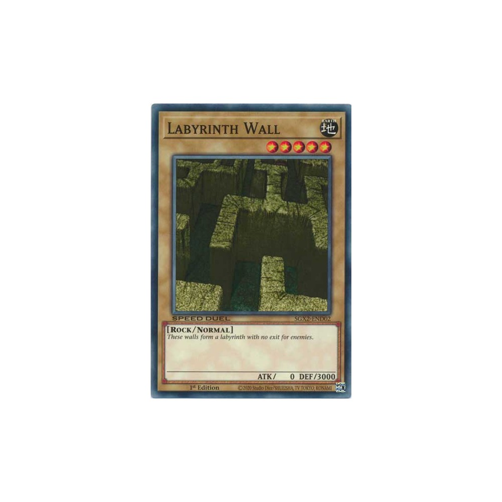 Labyrinth Wall - SGX2-END02