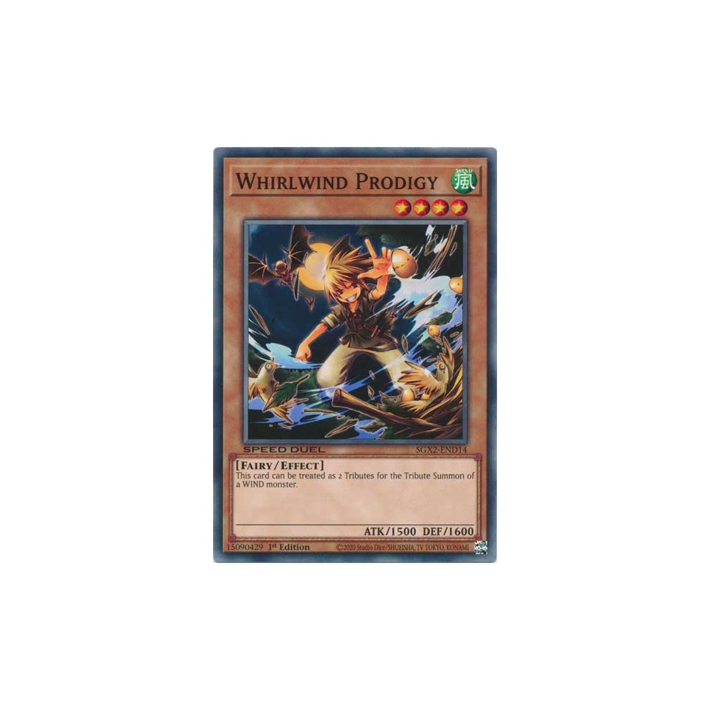 Whirlwind Prodigy - SGX2-END14