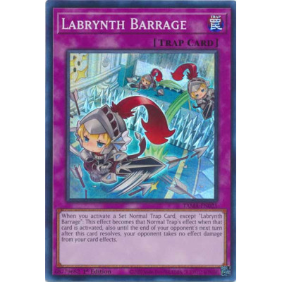 Labrynth Barrage - TAMA-EN025