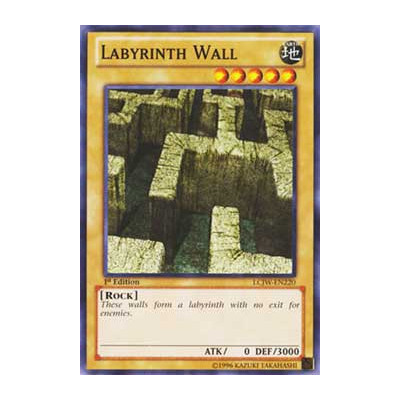Labyrinth Wall - 25th - SRL-EN055