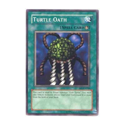 Turtle Oath - 25th - SRL-EN066