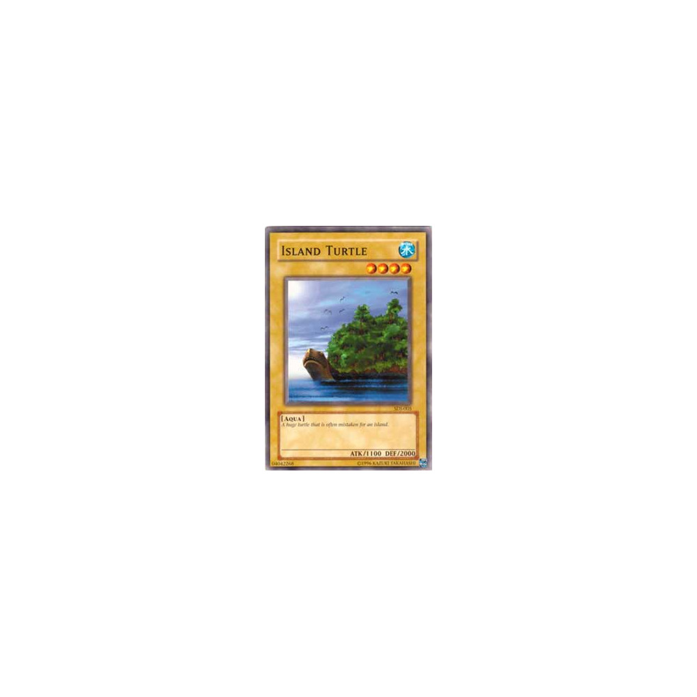 Island Turtle - 25th - PSV-EN095