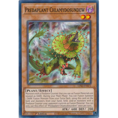Predaplant Chlamydosundew - LDS3-EN071