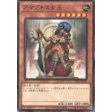 Amazoness Queen - DP27-JP037 - Nova