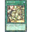 Secret Village of the Spellcasters - SSB1-JP036