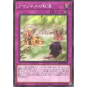 Amazoness Hot Spring - AC02-JP039