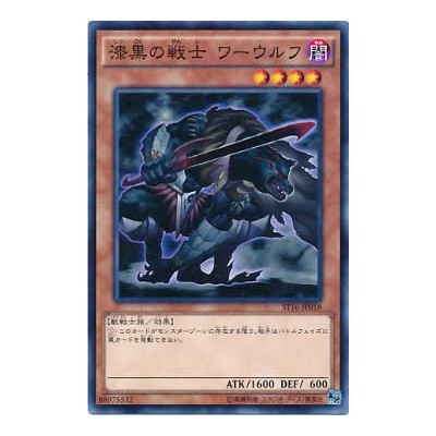 copy of Mystical Space Typhoon - ST16-JP025