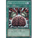 Brain Control - YSD2-JP028