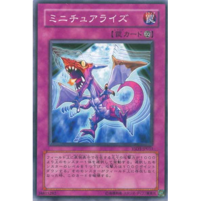 copy of Miniaturize - YSD3-JP033