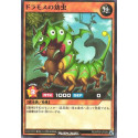 Dramoth Caterpillar - RD/KP09-JP028