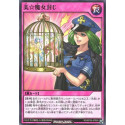 Pretty Witch Imprisonment - RD/KP05-JP055