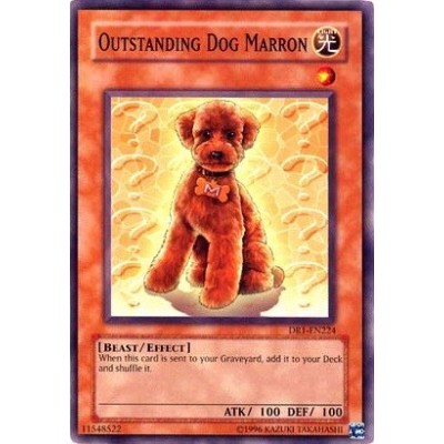 Outstanding Dog Marron - DCR-062 - Nova
