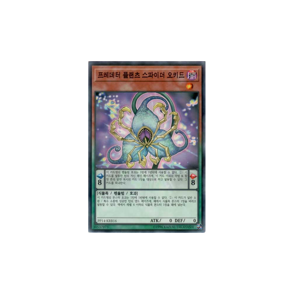 Predaplant Spider Orchid - PP14-KRB16