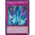 Torrential Tribute - SR14-EN037