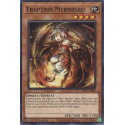 Traptrix Myrmeleo - SDBT-EN004