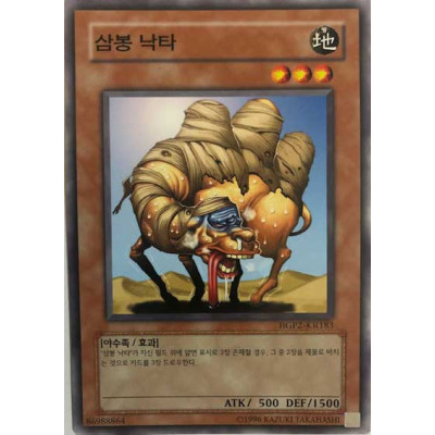 3-Hump Lacooda - HGP2-KR183