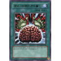 Brain Control - DP00-KR020 - Usada