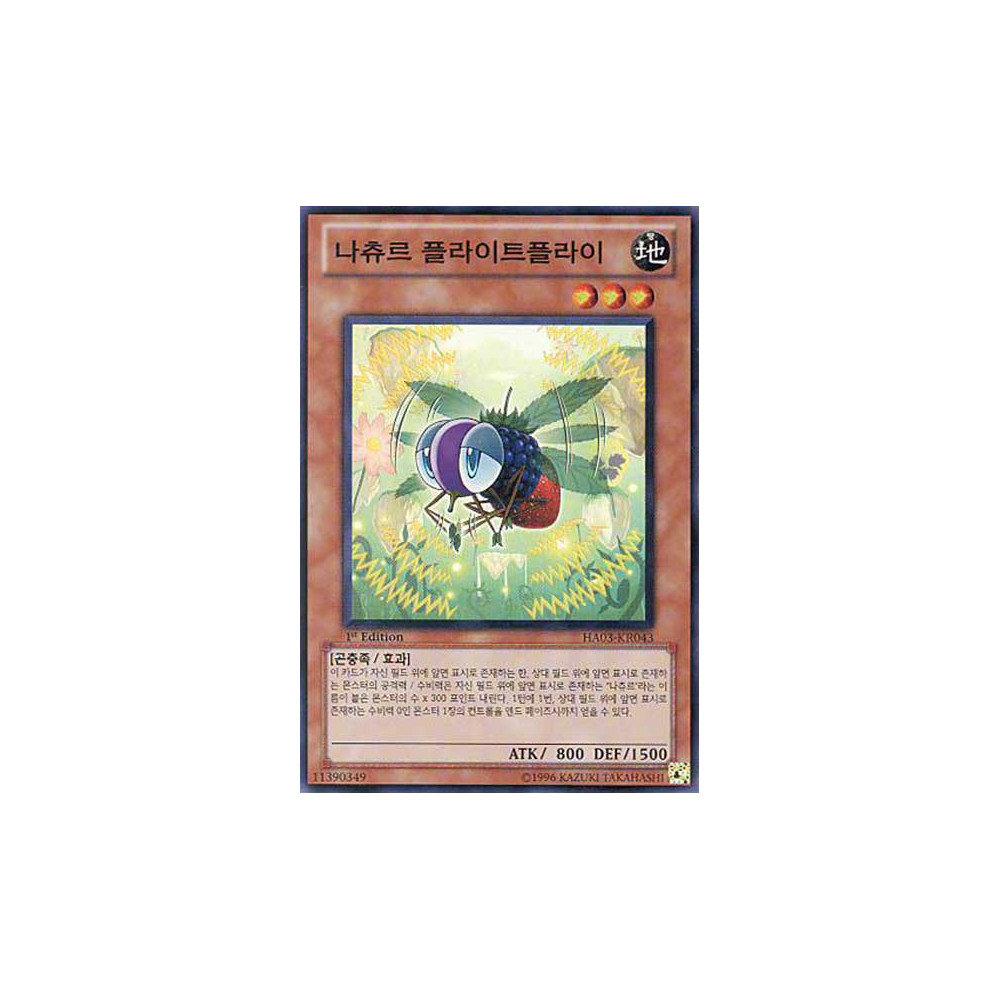 Naturia Fruitfly - HA03-KR043 - Nova