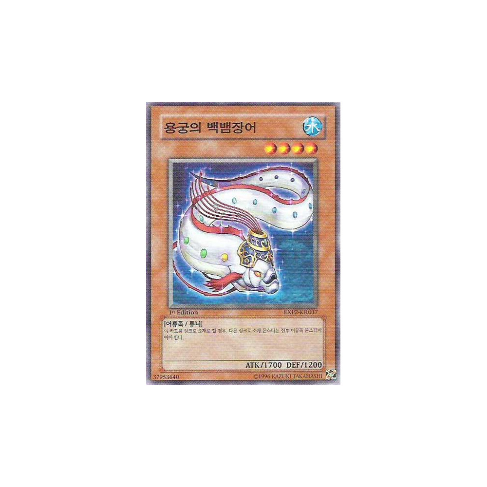 Royal Swamp Eel - EXP2-KR037