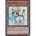 Rescue Cat - RA02-EN001 (A) - Ultra Rare