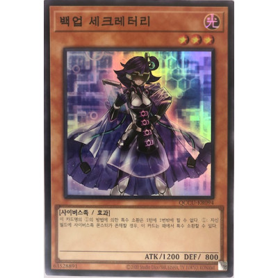Backup Secretary - QCCU-KR094