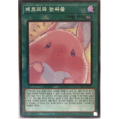 Melffy Staring Contest - QCCU-KR180