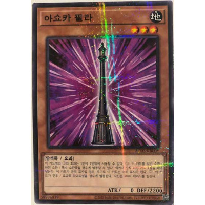 Ashoka Pillar - AC03-KR008