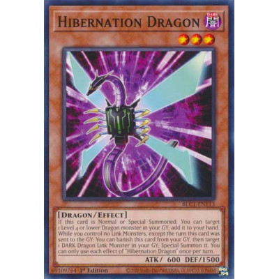 Hibernation Dragon - BLC1-EN113