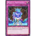 Miracle Restoring - MFC-100
